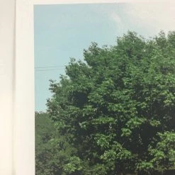 Flatstock 40 - 2013 Dan MacAdam Crosshair Poster Chicago, IL Union Park