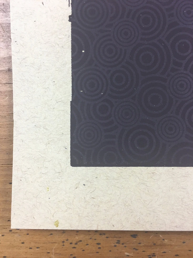 Gig Posters Bob Dylan - 2013 Xray Poster Art Print