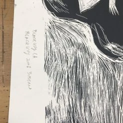 Phish - 2011 Dan Grzeca Poster Chicago, IL UIC TEST Print