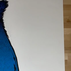 Steller's Jay - 2010 Jay Ryan Art Print Art Prints