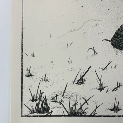 Colorado Yonder Mountain String Band - 2013 Neal Williams Poster Aspen, CO