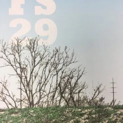 Flatstock 29 - 2011 Dan MacAdam Crosshair Poster Austin, TX Austin Convention Ce Gig Posters