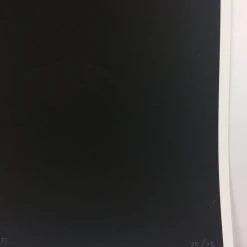 No Man's Land Wonder Woman - Robin Har Poster Art Print Movie/TV Posters