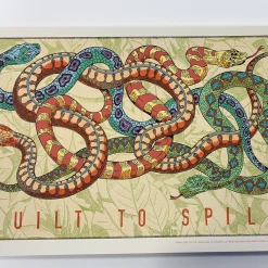 Built To Spill - 2016 Fugscreens Studios Poster Chicago, IL Thalia Hall