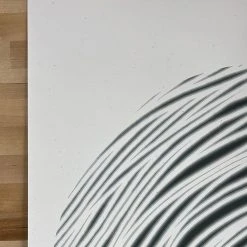 The Light We Reflect - 2021 Jay Ryan Poster Art Print