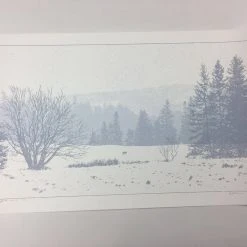 Art Prints The Call Of The Wild - 2011 Dan McCarthy Poster Art Print