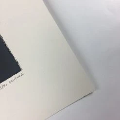 Summit - 2012 Justin Santora Poster Art Print