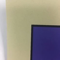 Raleigh St. Clair - 2011 Todd Slater Poster Art Print