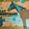 Gig Posters Ray LaMontagne - 2016 Status Serigraph Poster Brooklyn, NY