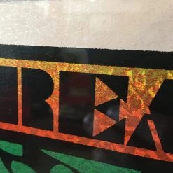 Widespread Panic - 2016 Chuck Sperry Poster Savannah Rose Shimmer #1 FRAMED