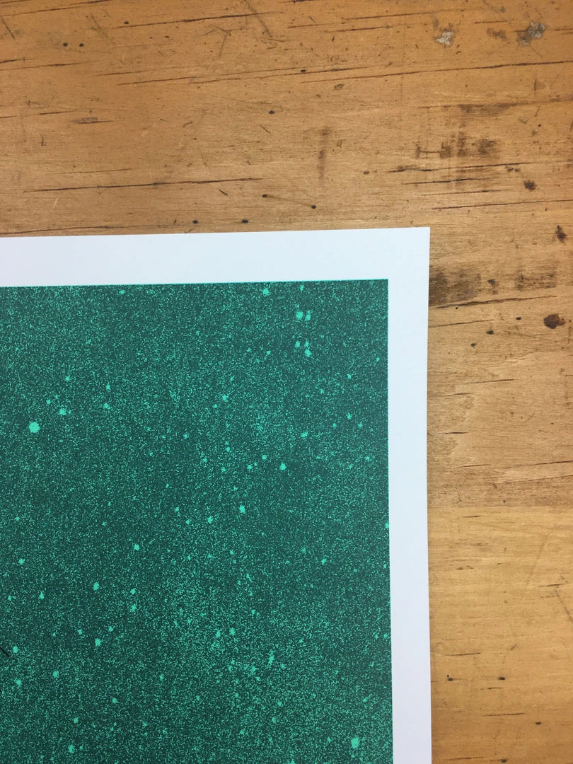 Andrew Bird - 2009 Daniel Danger Poster European Tour