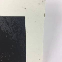 The Dead Weather - 2009 Todd Slater Poster Austin City Limits, TX Zilker Park