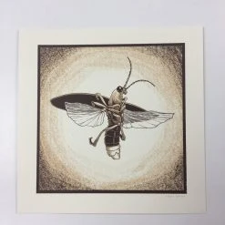 Common Firefly (Photinus Pyralis) - 2015 Justin Santora Poster Art Print