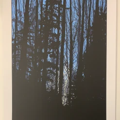 A Night In The Forest - 2010 Dan McCarthy Poster Art Print