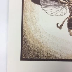 Common Firefly (Photinus Pyralis) - 2015 Justin Santora Poster Art Print