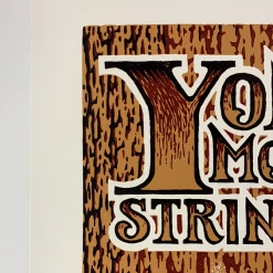 Yonder Mountain String Band - 2009 Timothy Ripley Poster Washington, DC Gig Posters