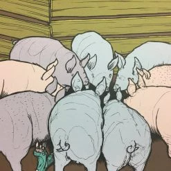 Art Prints Mr Wu's Pigs - 2010 Jay Ryan Poster Pig Print