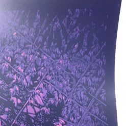 The Beacon Jams Ghosts Of The Forest - 2020 Daniel Danger Poster Trey Anastasio