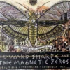Edward Sharpe & The Magnetic Zeros - 2016 Dan Grzeca Poster Cambridge, MA