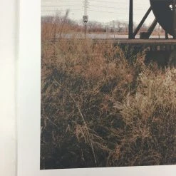 Ides #2 - 2013 Dan MacAdam Crosshair Poster Art Print