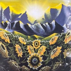 Big Summer Classic - 2005 Tom Giffin Poster SCI, YMSB, Umphrey's Gig Posters