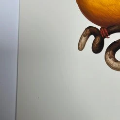 Fat Bird - 2020 Mike Mitchell Poster Rufous-Backed Dwarf Kingfisher AP Art Prints