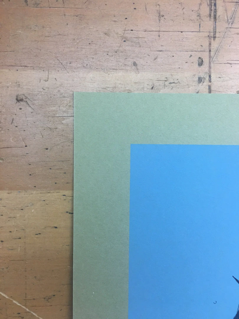 The Melvins - 2010 Jay Ryan Poster Chicago, IL Double Door