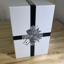 Neo - 2021 Jim Pollock Hand Cast Bronze Statue #'d/100