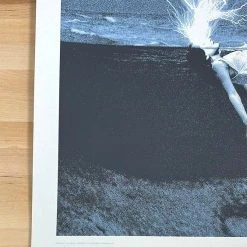 The Dead Weather - 2010 Rob Jones Poster Chicago, IL Congress Theater