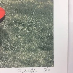 The Vaselines - 2009 Dan MacAdam Crosshair Poster Chicago, IL Metro