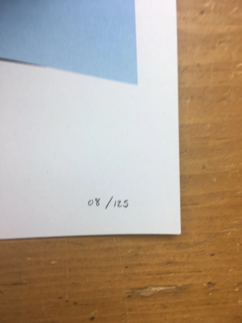 Unknown - 2013 Trevor Van Meter Poster Greensboro, NC GreenHill