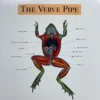 Sold Out Posters The Verve Pipe - 1999 Original Vinyl Poster Insert 12x12 Record Art