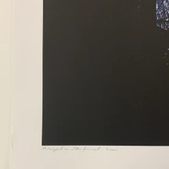 A Night In The Forest - 2010 Dan McCarthy Poster Art Print