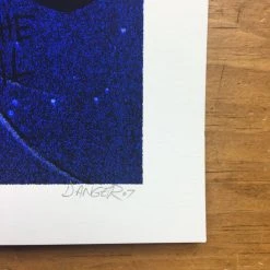 Flatstock 13 - 2007 Daniel Danger Poster Chicago, IL Union Park