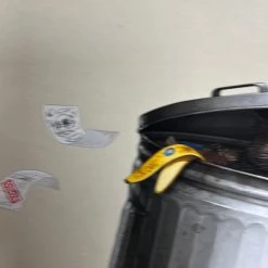 Teddy I - 2019 Mike Mitchell Poster Art Print Mikeland AP