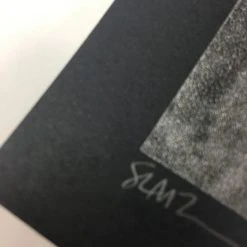 Gig Posters The Dead Weather - 2009 Todd Slater Poster Seattle, WA Paramount Theatre