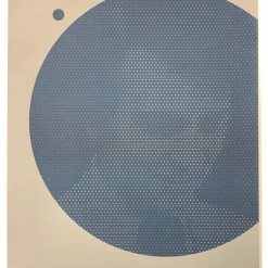 Carl Sagan - 2016 Justin Van Genderen Poster 1st Edition