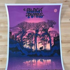 Black Pumas - 2021 EMEK Poster Portland, OR Roseland Theatre Gig Posters