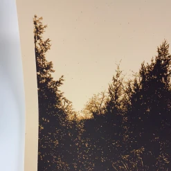 The Raconteurs - 2008 Rob Jones Poster Dallas, TX House Of Blues Gig Posters