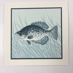 Black Crappie (Pomoxis Nigromaculatus) - 2015 Justin Santora Poster Art Print