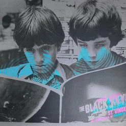 The Black Keys - 2014 The Silent P Poster Raleigh, NC PHC Arena Gig Posters