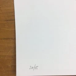 Joust - Mike Budai Art Print Art Prints