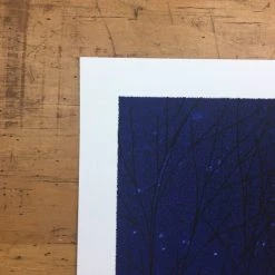 Flatstock 13 - 2007 Daniel Danger Poster Chicago, IL Union Park