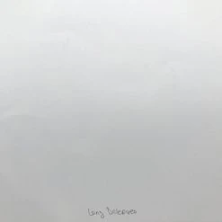 Art Prints Long Deserved - 2008 Mike Budai Poster Art Print