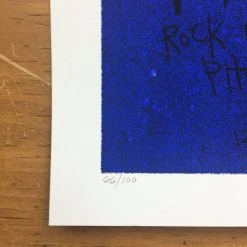 Flatstock 13 - 2007 Daniel Danger Poster Chicago, IL Union Park