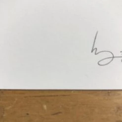 Fat Bird - 2017 Mike Mitchell Poster Himalayan Bulbul Art Prints