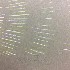 Gig Posters Andrew Bird - 2009 Jay Ryan Poster New York City, NY Radio City Music Hall