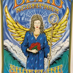Gig Posters Dead & Company - 2016 Dave Hunter Poster Mountain View, CA Summer Tour