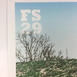 Flatstock 29 - 2011 Dan MacAdam Crosshair Poster Austin, TX Austin Convention Ce Gig Posters