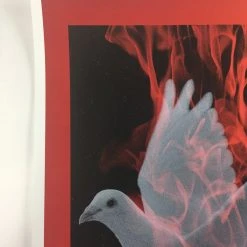 Birth Of A Phoenix #1 - 2010 Todd Slater Poster Art Print Art Prints